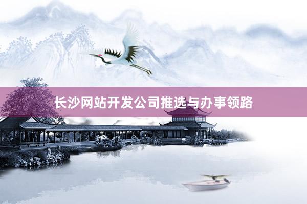 长沙网站开发公司推选与办事领路