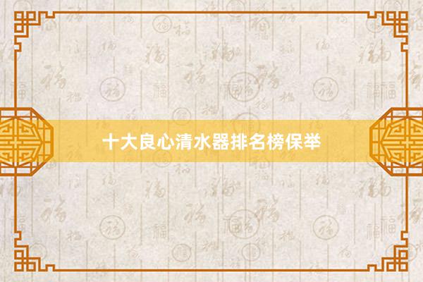 十大良心清水器排名榜保举