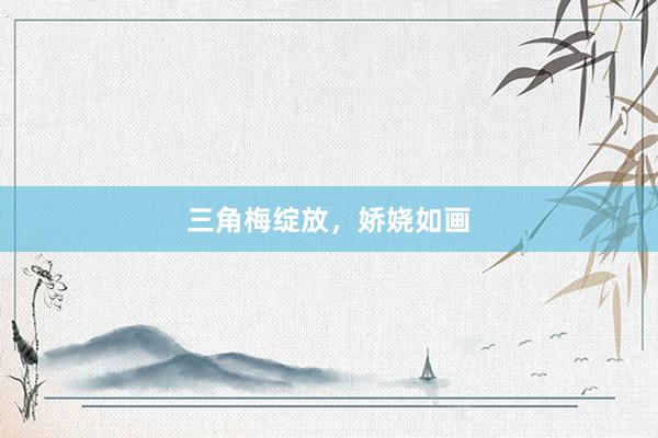 三角梅绽放，娇娆如画