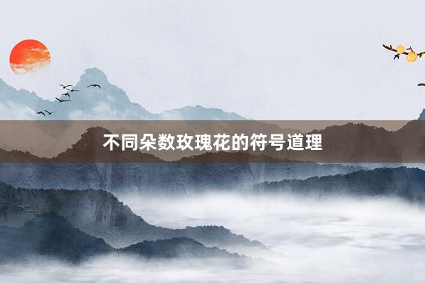 不同朵数玫瑰花的符号道理